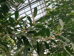 -南山植物园