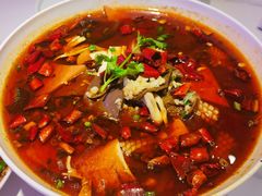 毛血旺-夫妻肺片·中华老字号·正宗川菜(春熙路店)