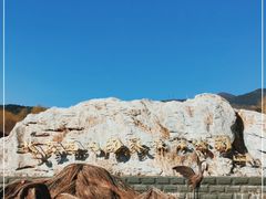 -北京西山国家森林公园