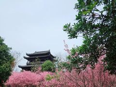 -南山风景名胜区