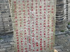 -上海佘山国家森林公园天马山园