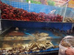 -蟹谢蒸鲜自助餐厅