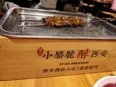 -福苗小骆驼烧烤(莲湖路店)