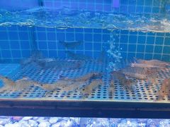 -透明思烤·自助烤肉海鲜火锅(东部星悦天地店)