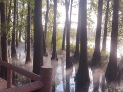 -东湖落雁景区