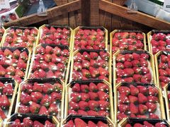 -果蔬好生活超市(乐堤港店)