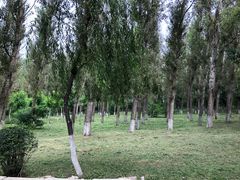 -丁香湖公园