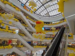 -柳市现代广场
