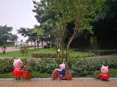 -野狸岛