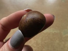 -陈记栗子(长宁路店)