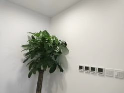 -丰联丽格医疗美容·联合丽格眼整形中心