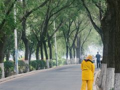 -丁香湖公园