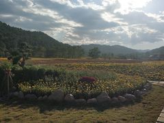 -玉华宫景区
