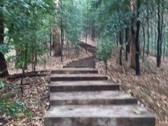 -滴水岩森林公园