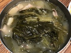 -MR鹅外