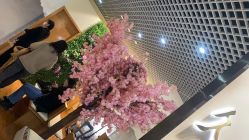 -久匠·纹眉纹绣半永久