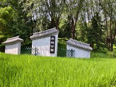 -北坞公园