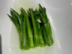 -临江·阅炉
