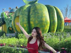 -水上乐园·欢乐世界