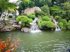 -江心屿景区