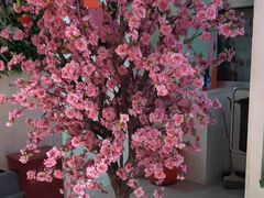 -学知乐教育·幼小衔接·小学科辅导(嘉定镇校区)