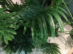 -卡朋西餐(悦汇城店)