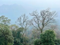 -青城山