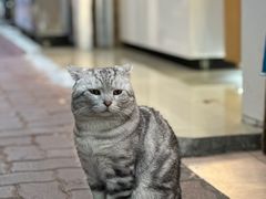 -广场正宗原汁薏米店