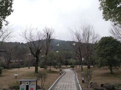 -孙武文化园-停车场