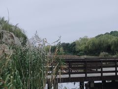 -新江湾城公园