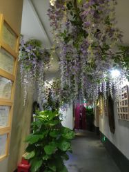 -盘子女人坊生日照·摄影馆(华强店)