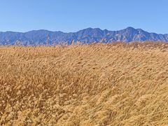 -野鸭湖国家湿地公园