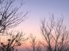 -海宁市观音寺