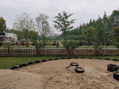 -前小桔亲子创意农场·草莓采摘·露营烧烤