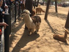 -大连森林动物园