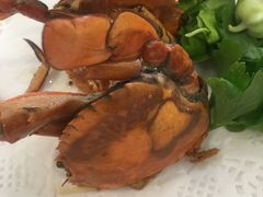 -友强·23年特色海鲜大排档(厦门店)