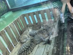 -栾川竹海野生动物园