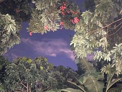 -荔景渔庄