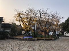 -东山雕花楼