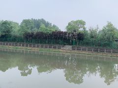 -美兰湖景区