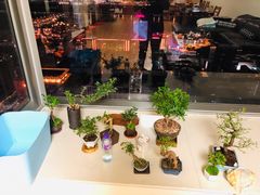 -翠华餐厅(百老汇店)