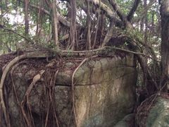 东澳岛-东澳岛