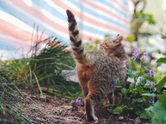 -苏州河梦清园环保主题公园