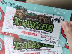 -美的鹭湖探索王国