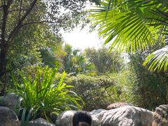 -天芳悦潭度假村温泉