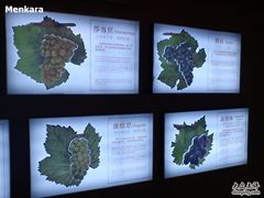 -青岛葡萄酒博物馆
