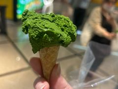 -鹤茶野所(上海首店)