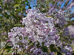 -野鸭湖国家湿地公园