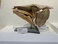 -重庆自然博物馆(新馆)