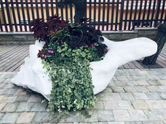 -老虎石海上公园